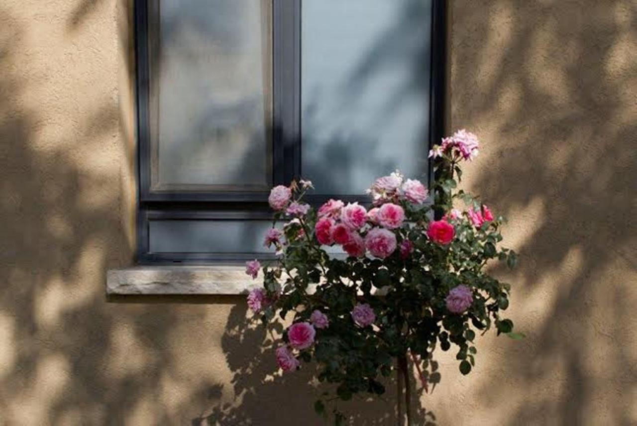 Zimmer You Dreamed Of Arad Esterno foto